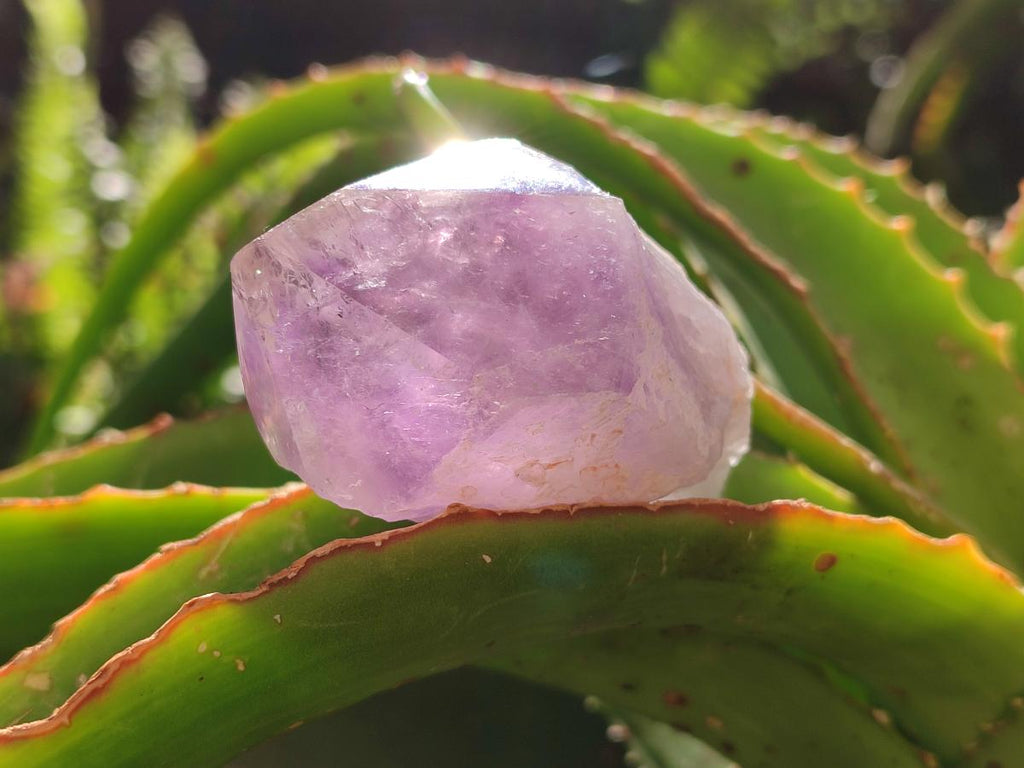 Polished Jacaranda Amethyst Crystals x 12 From Mumbwa, Zambia