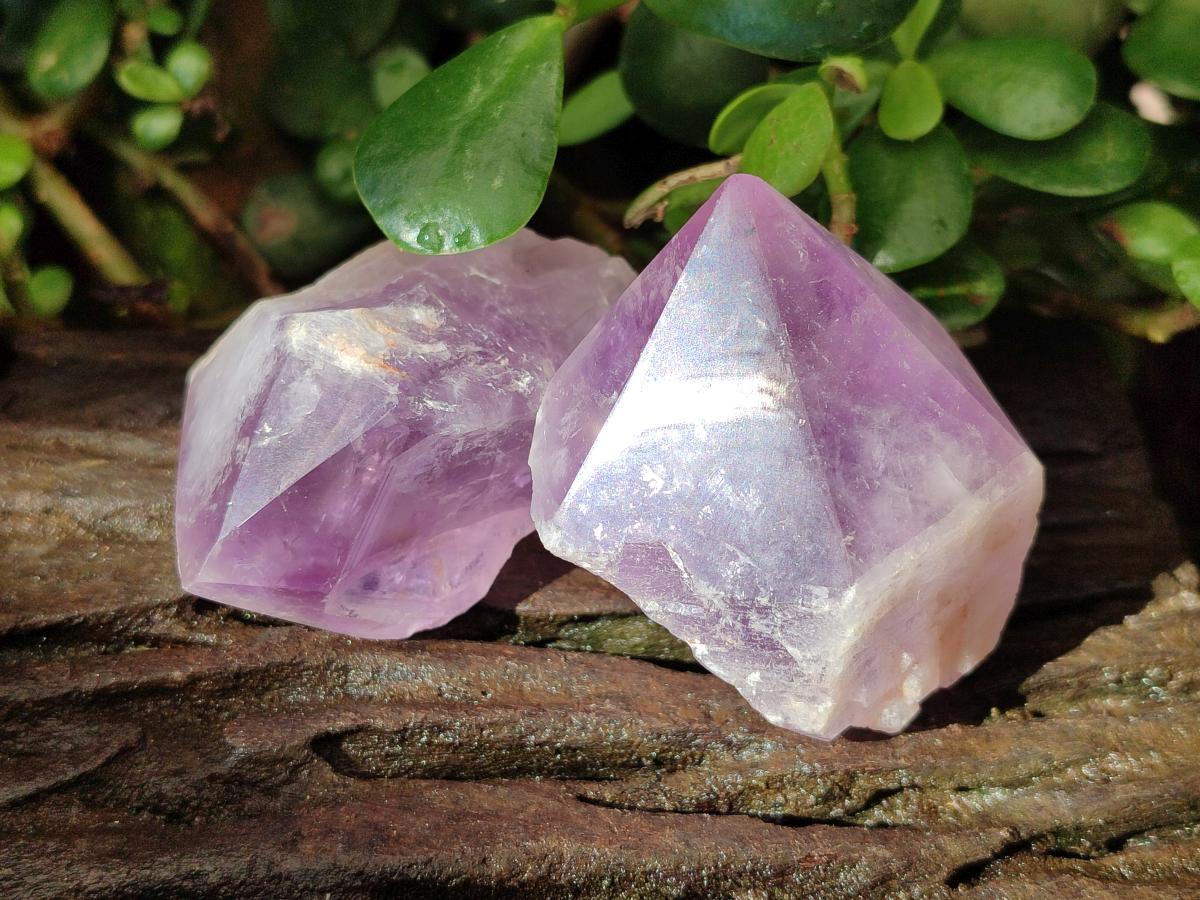 Polished Jacaranda Amethyst Crystals x 12 From Mumbwa, Zambia
