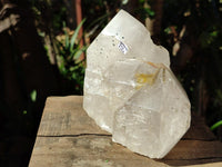 Polished On One Side Icy Quartz Crystal with Hematite Rose Disk Inclusions x 1 From Angola