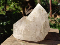 Polished On One Side Icy Quartz Crystal with Hematite Rose Disk Inclusions x 1 From Angola