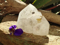 Polished On One Side Icy Quartz Crystal with Hematite Rose Disk Inclusions x 1 From Angola