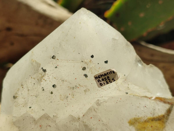 Polished On One Side Icy Quartz Crystal with Hematite Rose Disk Inclusions x 1 From Angola