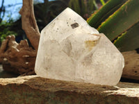 Polished On One Side Icy Quartz Crystal with Hematite Rose Disk Inclusions x 1 From Angola