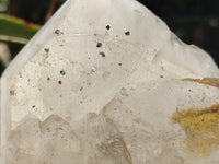 Polished On One Side Icy Quartz Crystal with Hematite Rose Disk Inclusions x 1 From Angola