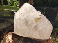 Polished On One Side Icy Quartz Crystal with Hematite Rose Disk Inclusions x 1 From Angola