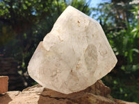 Polished On One Side Icy Quartz Crystal with Hematite Rose Disk Inclusions x 1 From Angola