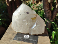 Polished On One Side Icy Quartz Crystal with Hematite Rose Disk Inclusions x 1 From Angola
