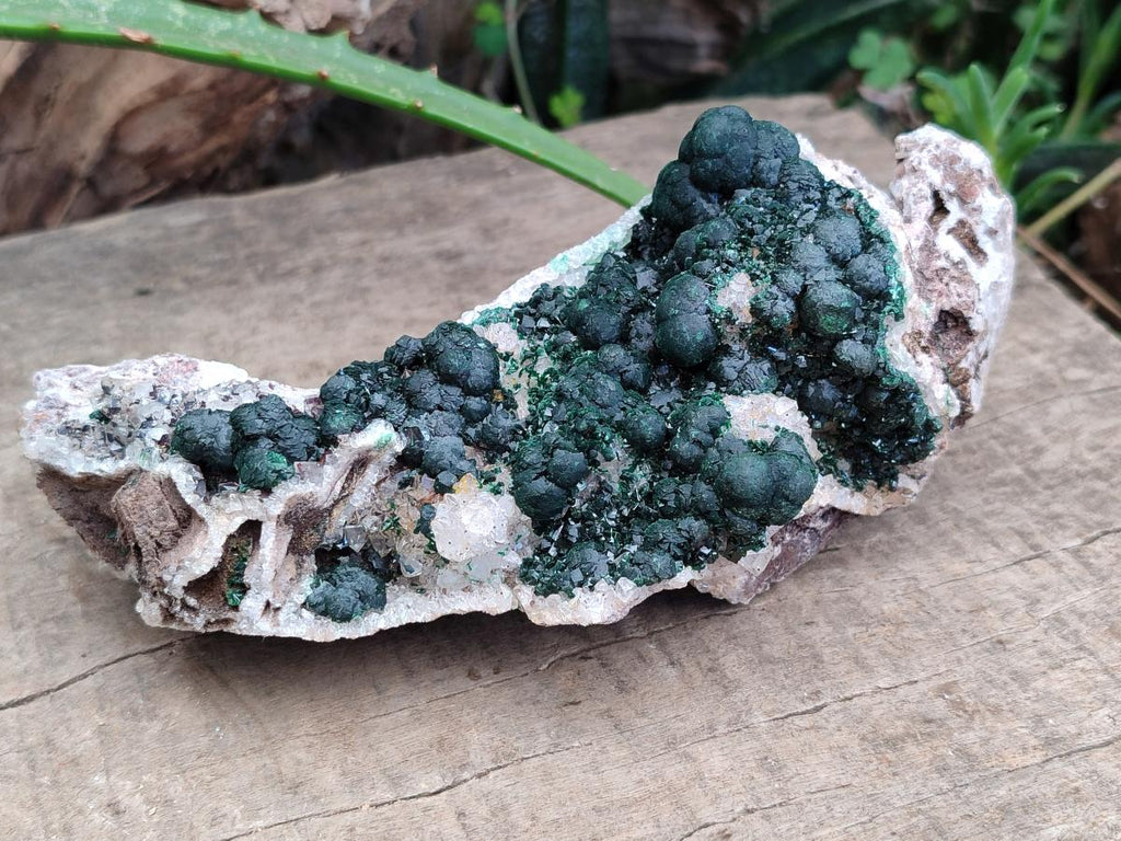 Natural Silky Ball Malachite and Drusy Quartz on Dolomite Specimens x 2 From Mindingi Mine, Kambove, Congo