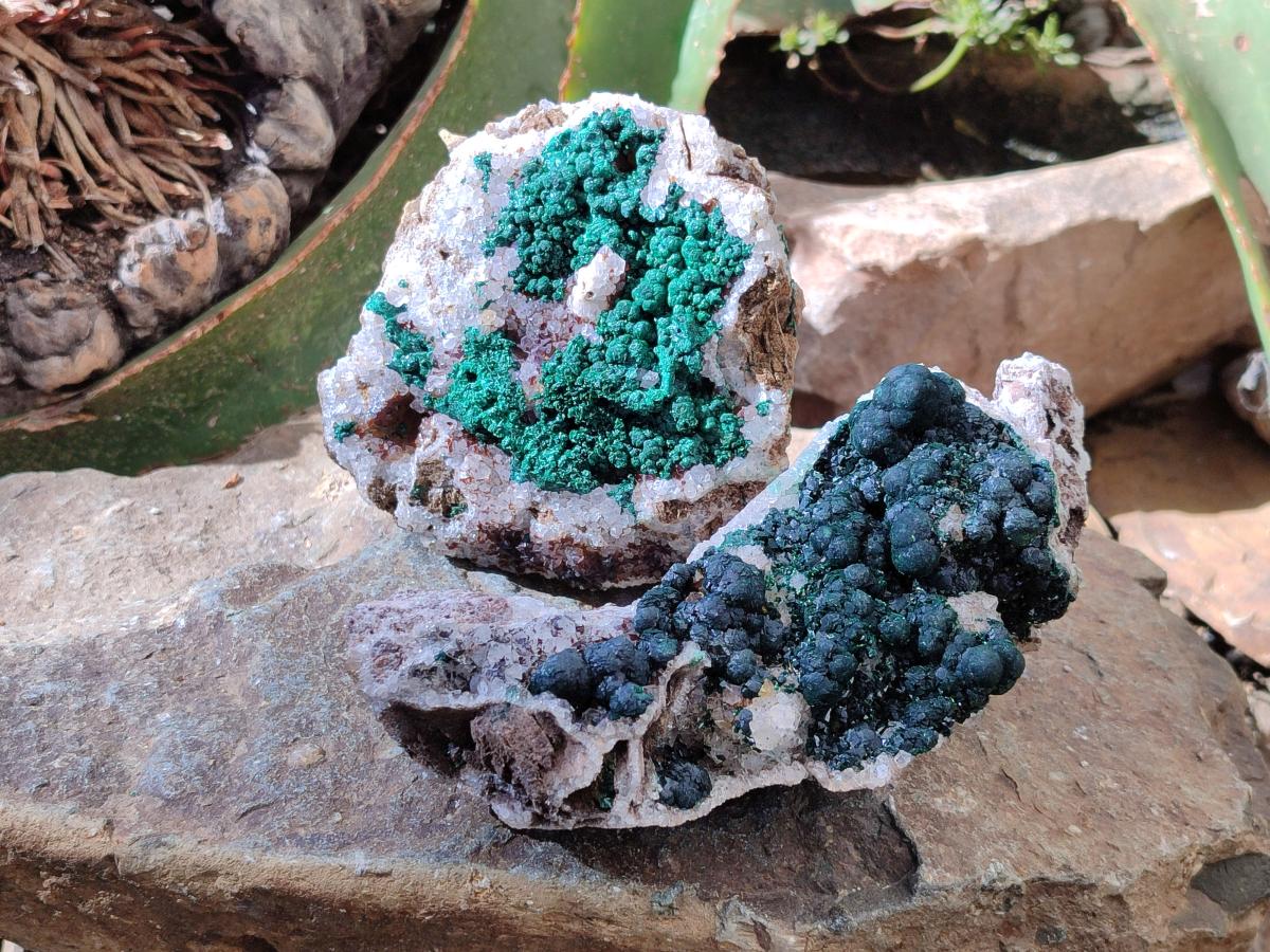 Natural Silky Ball Malachite and Drusy Quartz on Dolomite Specimens x 2 From Mindingi Mine, Kambove, Congo