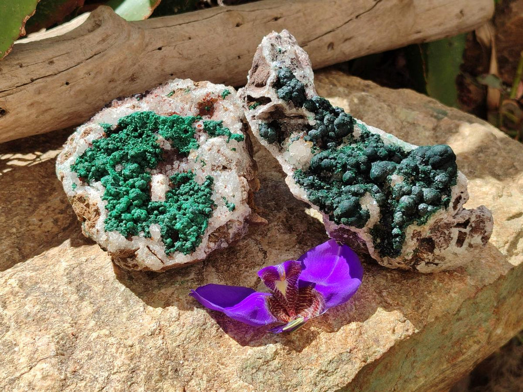 Natural Silky Ball Malachite and Drusy Quartz on Dolomite Specimens x 2 From Mindingi Mine, Kambove, Congo