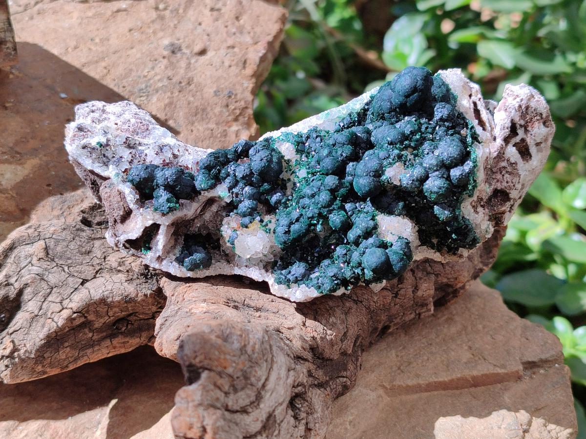 Natural Silky Ball Malachite and Drusy Quartz on Dolomite Specimens x 2 From Mindingi Mine, Kambove, Congo