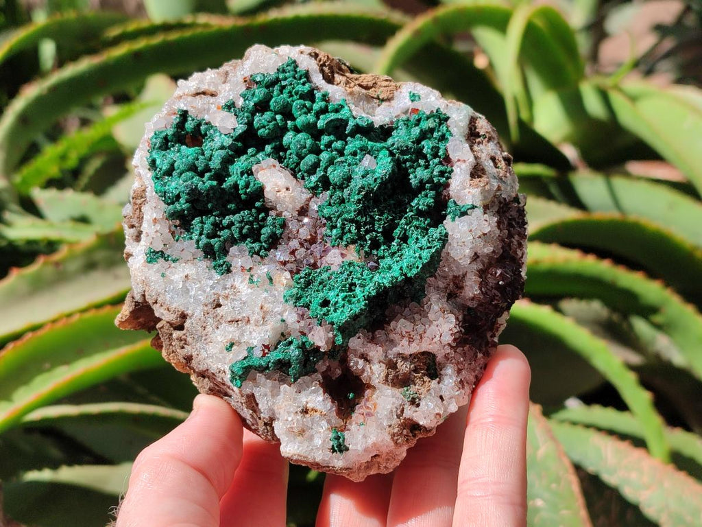 Natural Silky Ball Malachite and Drusy Quartz on Dolomite Specimens x 2 From Mindingi Mine, Kambove, Congo