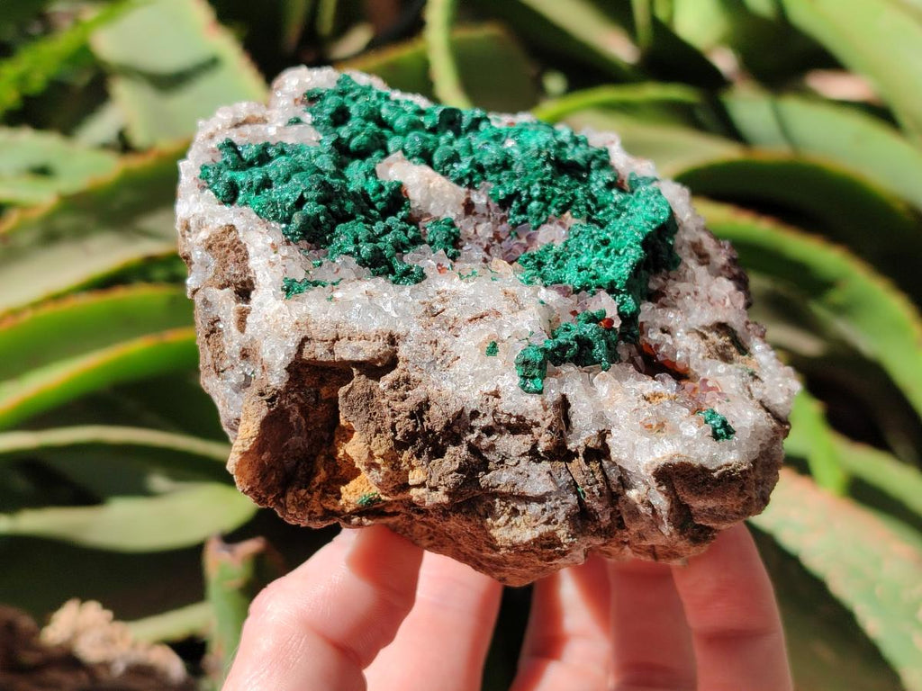 Natural Silky Ball Malachite and Drusy Quartz on Dolomite Specimens x 2 From Mindingi Mine, Kambove, Congo