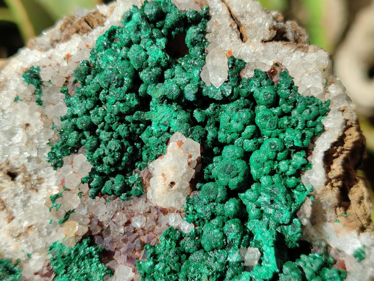 Natural Silky Ball Malachite and Drusy Quartz on Dolomite Specimens x 2 From Mindingi Mine, Kambove, Congo