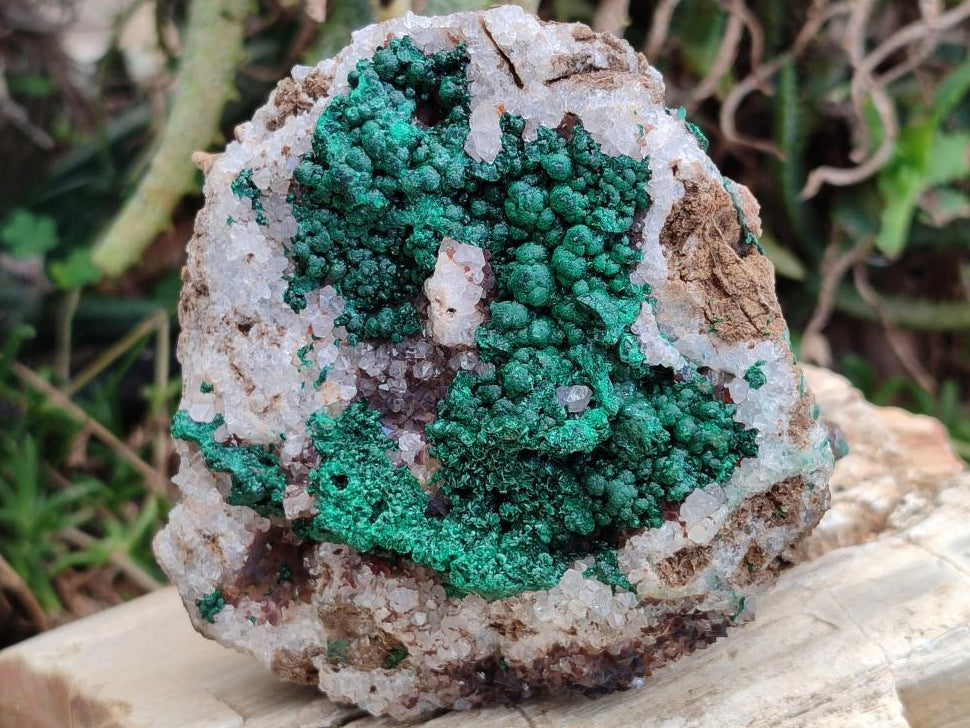 Natural Silky Ball Malachite and Drusy Quartz on Dolomite Specimens x 2 From Mindingi Mine, Kambove, Congo