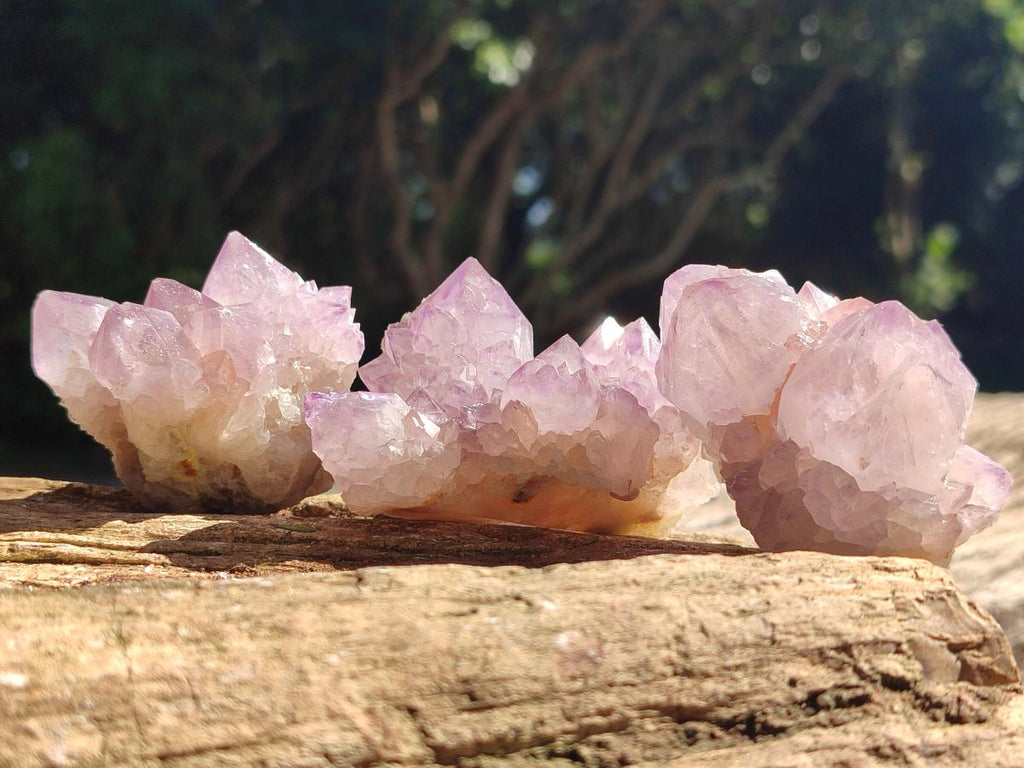 Sunburst Rocks Natural Sunburst Amethyst Spirit Clusters x 12 From Boekenhouthoek, So ...