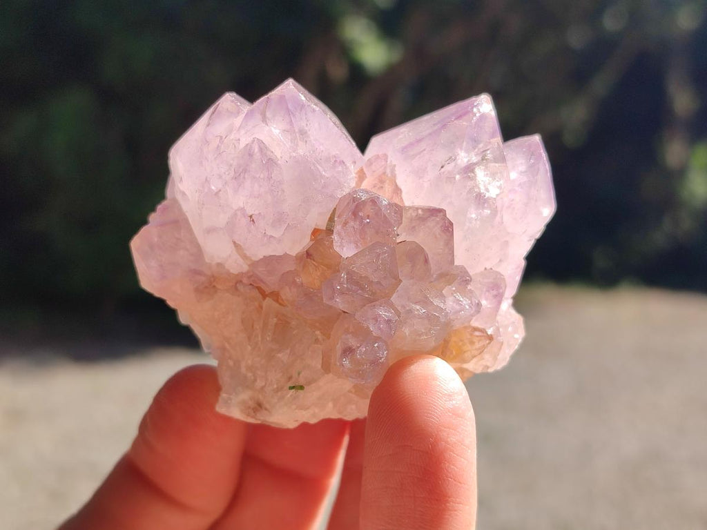 Natural Sunburst Amethyst Spirit Clusters x 12 From Boekenhouthoek, South Africa