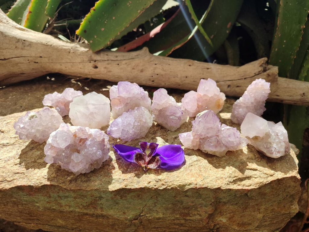 Natural Sunburst Amethyst Spirit Clusters x 12 From Boekenhouthoek, South Africa