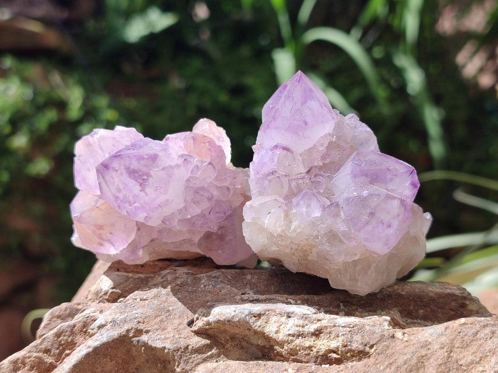 Sunburst Rocks Natural Sunburst Amethyst Spirit Clusters x 12 From Boekenhouthoek, So ...