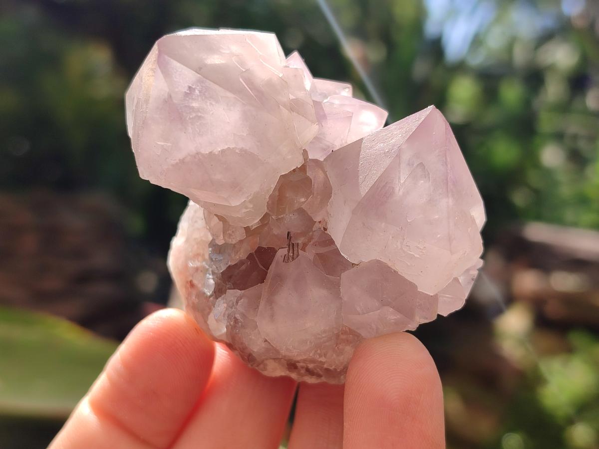 Natural Sunburst Amethyst Spirit Clusters x 12 From Boekenhouthoek, South Africa