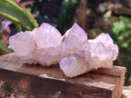 Natural Sunburst Amethyst Spirit Clusters x 12 From Boekenhouthoek, South Africa