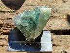 Natural Watermelon Fluorite Cobbed Specimens x 12 From Uis, Namibia