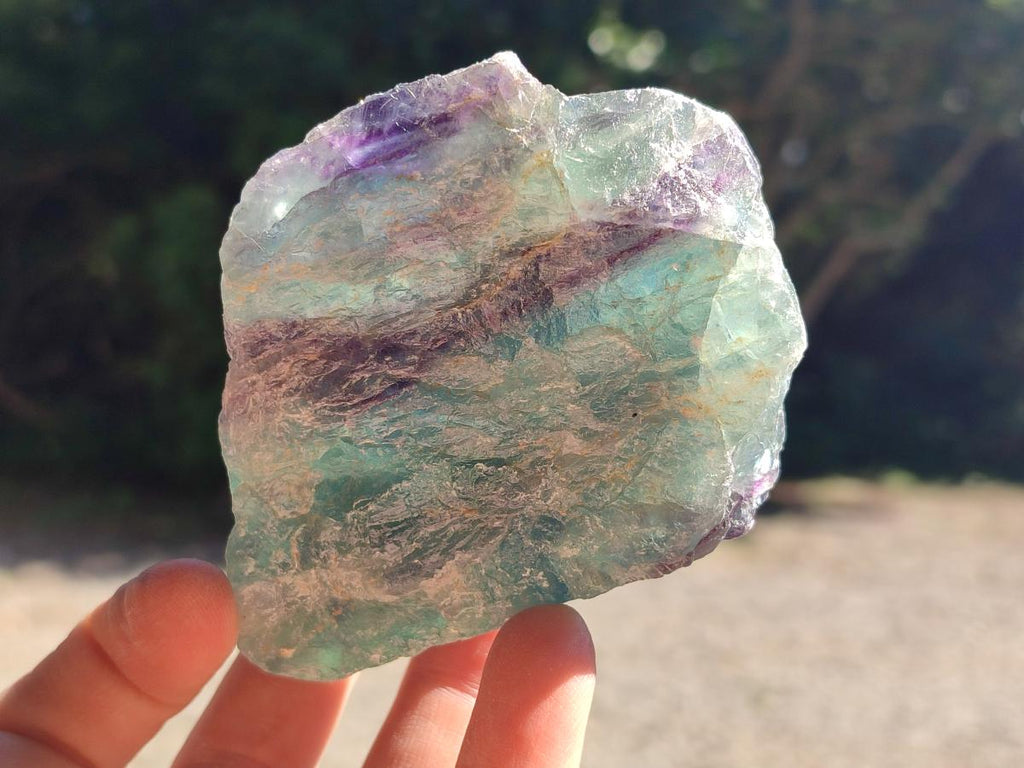 Natural Watermelon Fluorite Cobbed Specimens x 12 From Uis, Namibia