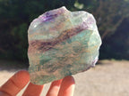 Natural Watermelon Fluorite Cobbed Specimens x 12 From Uis, Namibia