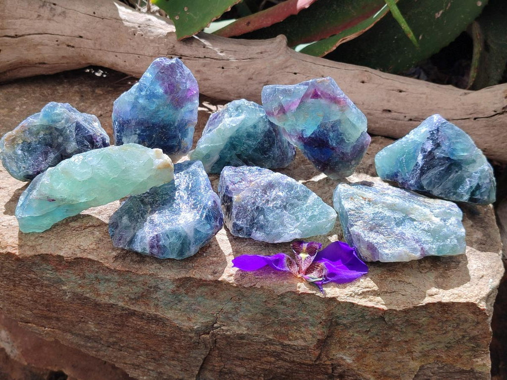 Natural Watermelon Fluorite Cobbed Specimens x 12 From Uis, Namibia