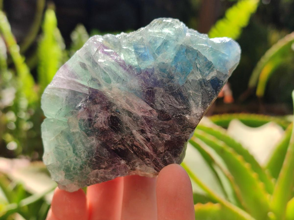Natural Watermelon Fluorite Cobbed Specimens x 12 From Uis, Namibia