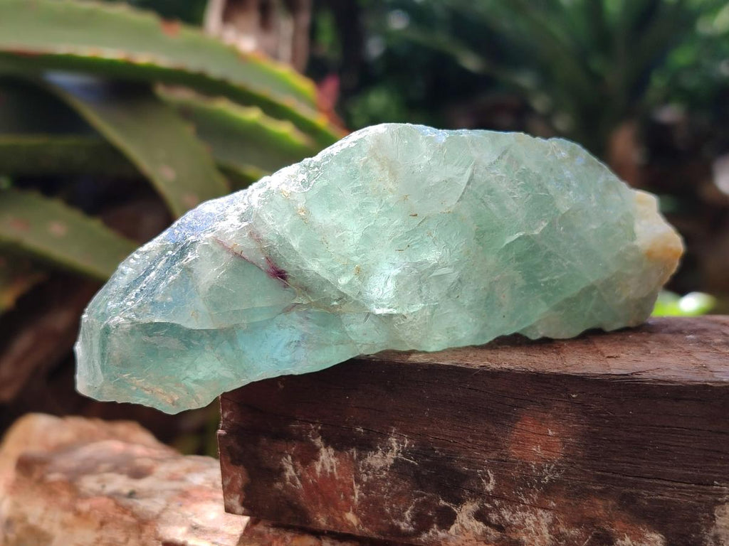 Natural Watermelon Fluorite Cobbed Specimens x 12 From Uis, Namibia