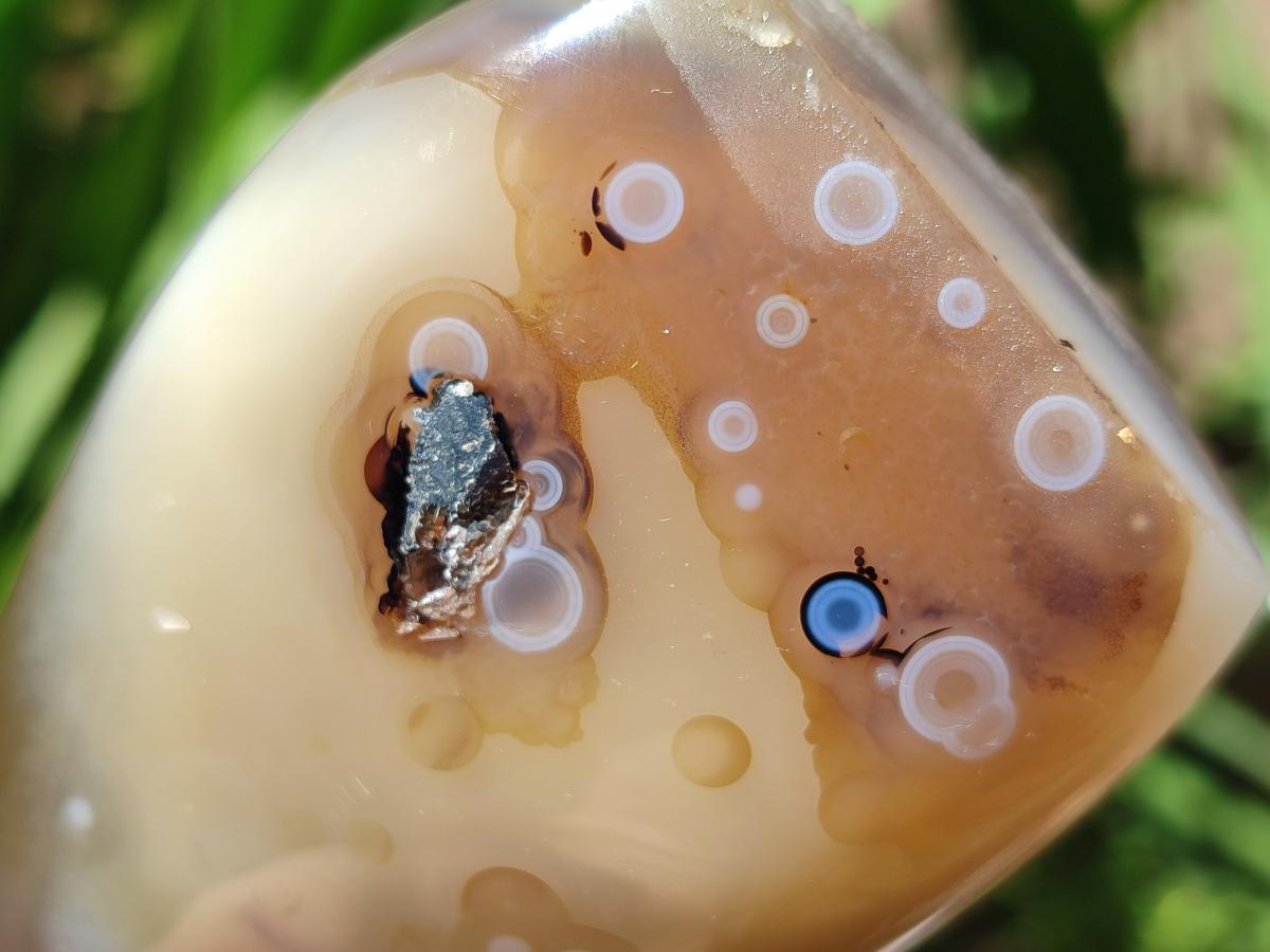 Polished Dendritic Agate Standing Free Forms x 6 From Moralambo, Madagascar