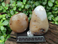 Polished Dendritic Agate Standing Free Forms x 6 From Moralambo, Madagascar