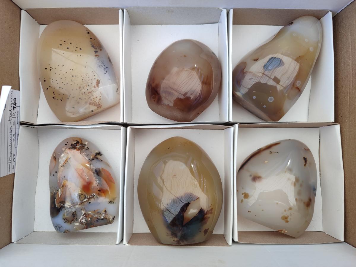 Polished Dendritic Agate Standing Free Forms x 6 From Moralambo, Madagascar