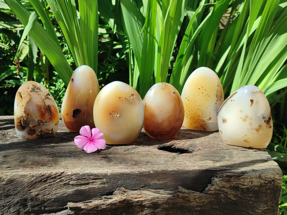 Polished Dendritic Agate Standing Free Forms x 6 From Moralambo, Madagascar