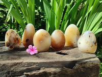 Polished Dendritic Agate Standing Free Forms x 6 From Moralambo, Madagascar