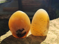 Polished Dendritic Agate Standing Free Forms x 6 From Moralambo, Madagascar