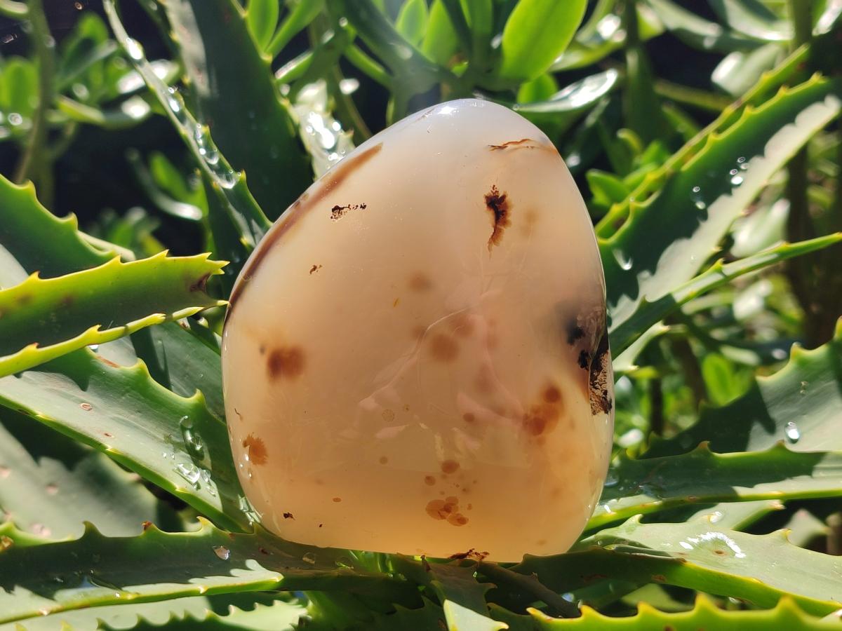 Polished Dendritic Agate Standing Free Forms x 6 From Moralambo, Madagascar
