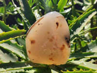 Polished Dendritic Agate Standing Free Forms x 6 From Moralambo, Madagascar