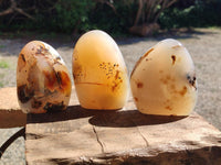 Polished Dendritic Agate Standing Free Forms x 6 From Moralambo, Madagascar