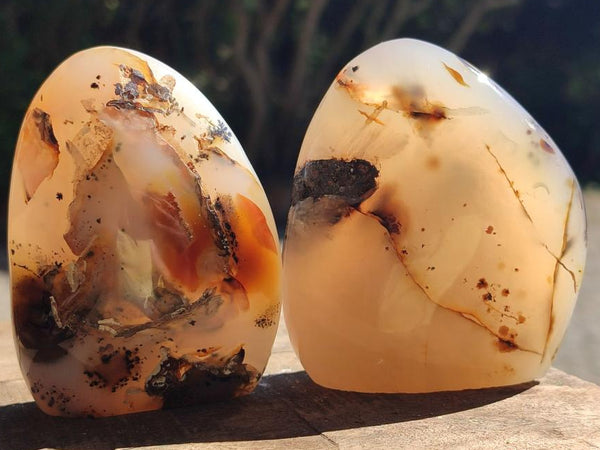 Polished Dendritic Agate Standing Free Forms x 6 From Moralambo, Madagascar
