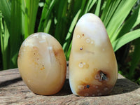 Polished Dendritic Agate Standing Free Forms x 6 From Moralambo, Madagascar