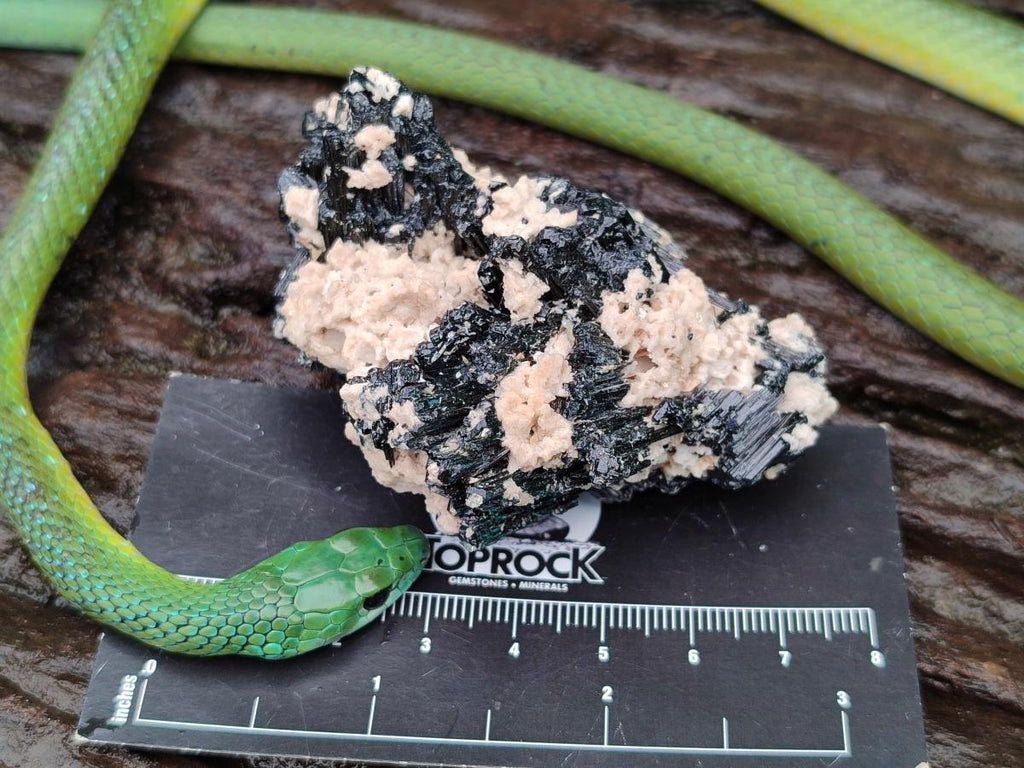 Natural Schorl Black Tourmaline With Vermiculite x 12 From Erongo, Namibia