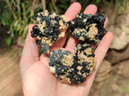 Natural Schorl Black Tourmaline With Vermiculite x 12 From Erongo, Namibia