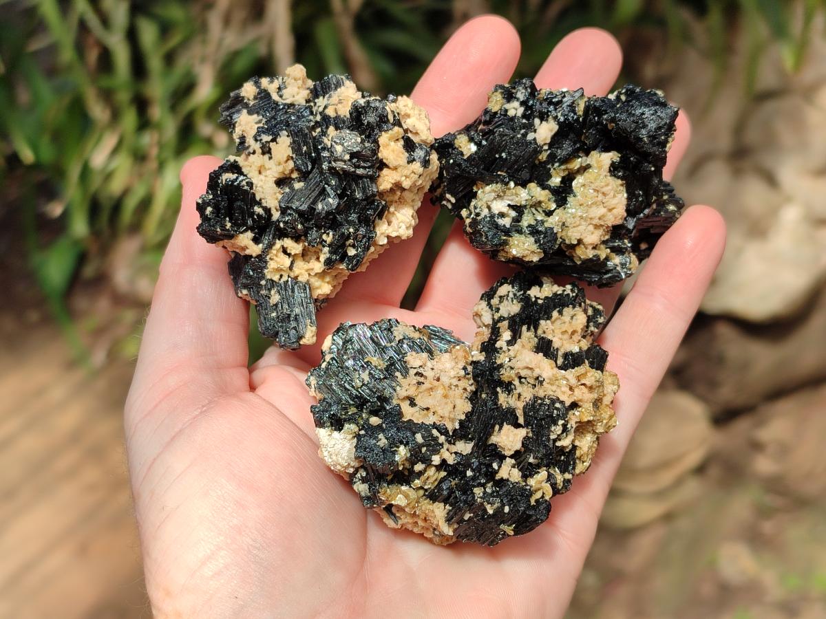 Natural Schorl Black Tourmaline With Vermiculite x 12 From Erongo, Namibia