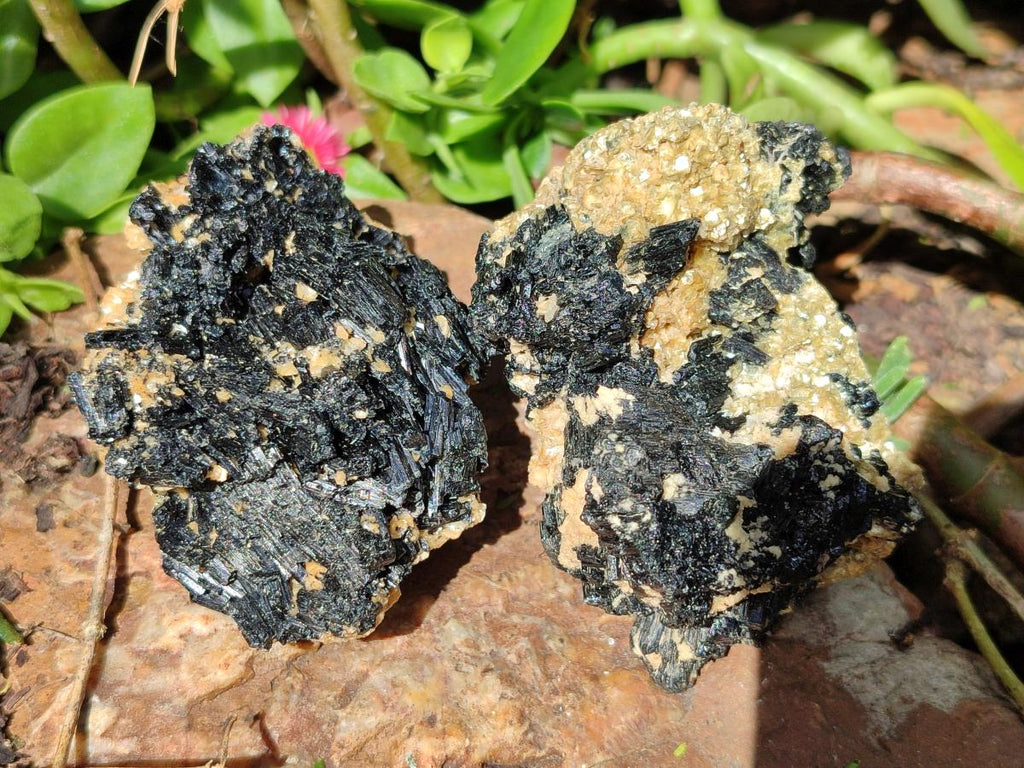 Natural Schorl Black Tourmaline With Vermiculite x 12 From Erongo, Namibia