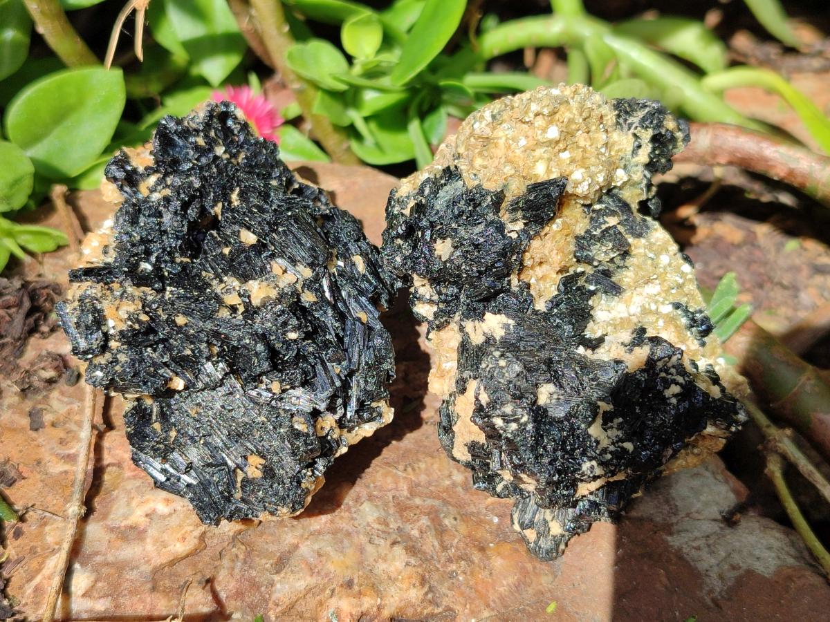 Natural Schorl Black Tourmaline With Vermiculite x 12 From Erongo, Namibia
