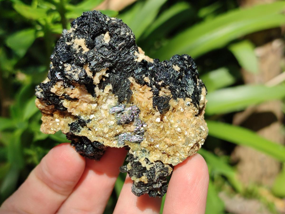 Natural Schorl Black Tourmaline With Vermiculite x 12 From Erongo, Namibia