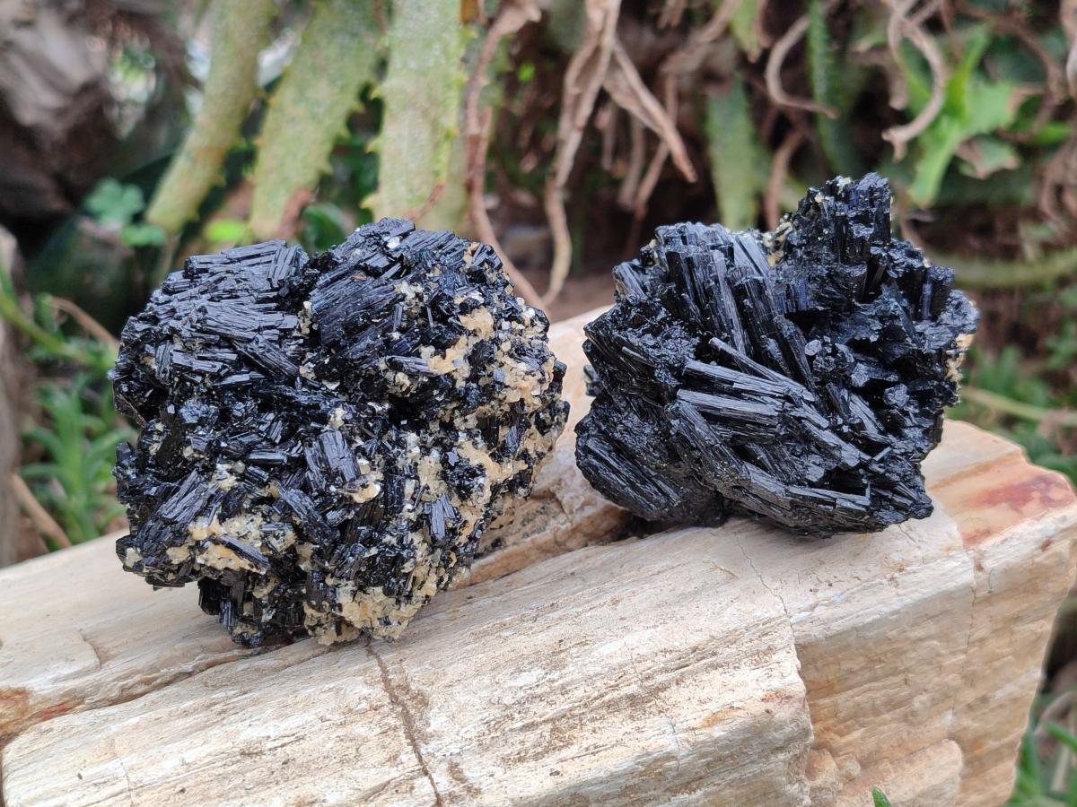Natural Schorl Black Tourmaline With Vermiculite x 12 From Erongo, Namibia