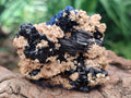Natural Schorl Black Tourmaline With Vermiculite x 12 From Erongo, Namibia